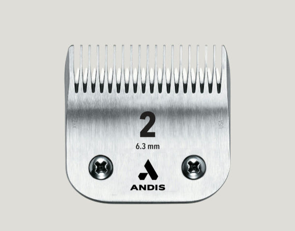 CeramicEdge® Detachable Blade, Size 2